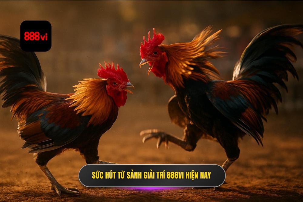 1.sức Hút Mãnh Liệt Từ Sảnh Đá Gà 888vi Trên Thị Trường Hiện Nay